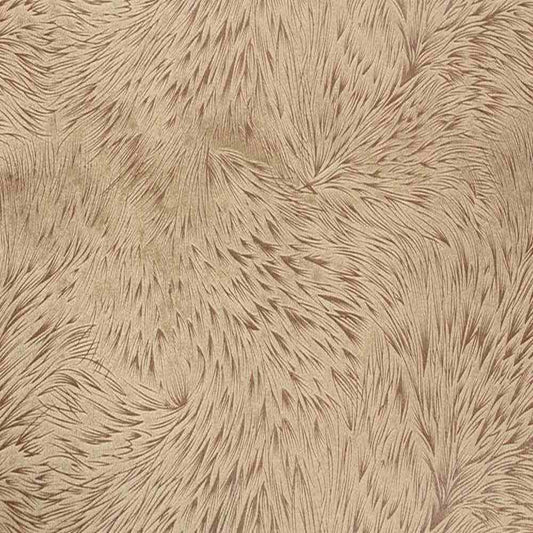 Champagne Huntsville Brocade Velvet Fabric - Fabrics Star