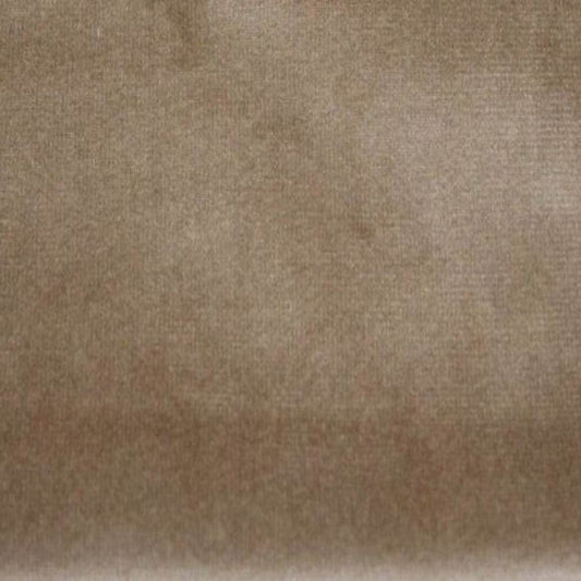 Champagne Newport Soft Velvet Fabric - Fabrics Star